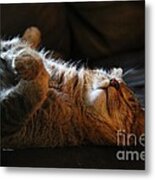 Cat Nap Metal Print