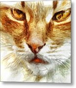 Cat Portrait - Drawing Metal Print
