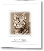 Cat Reflections 1 Metal Print