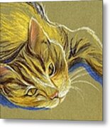 Cat With Gold Eyes Metal Print