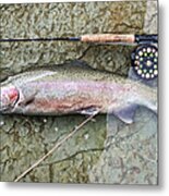 Catch And Release Metal Print
