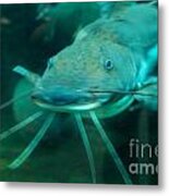 Catfish Billy Metal Print