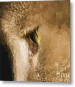 Cats Eye Metal Print