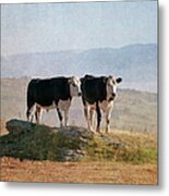 Cattle Metal Print