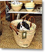 Cavalier Puppy In A Basket Metal Print