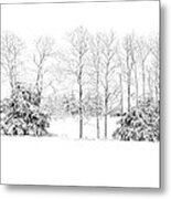 Cedars And Snow Metal Print