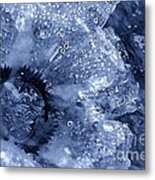 Cellophane Flower- Sapphire Metal Print