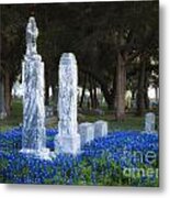 Cemetery Bluebonnets Metal Print