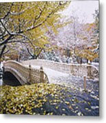 Central Park After A Late Fall Snow, Nyc Metal Print
