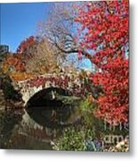 Central Park In The Fall-1 Metal Print