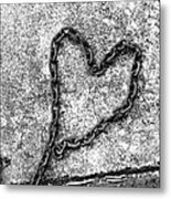 Chained Heart Metal Print