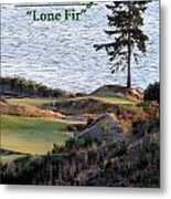 Chambers Bay's Lone Fir - Chambers Bay Golf Course Metal Print