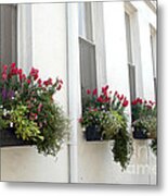 Charleston French Quarter Historic District Dreamy Flowers Window Boxes Metal Print