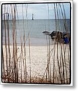 Charleston, Sc - Out Of The Weeds Metal Print