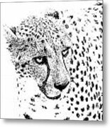 Cheetah 3 Quarters Macro Profile Stamp Black And White Digital Art Square Format Metal Print
