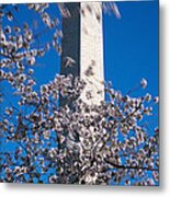 Cherry Blossom In Front Of An Obelisk Metal Print