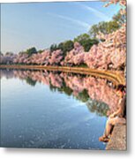 Cherry Blossom Love Metal Print