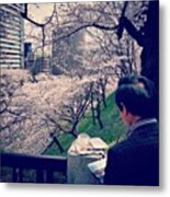 Cherry Blossoms ( #sakura - #桜 ) At Metal Print