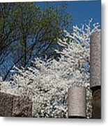 Cherry Blossoms At The Franklin D Roosevelt Memorial Metal Print