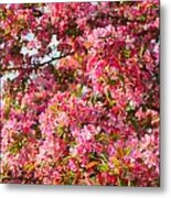 Cherry Blossoms In Washington D.c. Metal Print