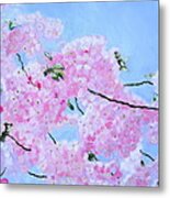 Cherry Blossoms Metal Print