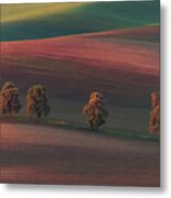 Chestnut Avenue Metal Print