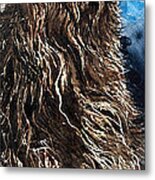 Chewbacca Metal Print