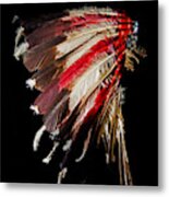 Cheyenne Indian 1870s Eagle Feather Metal Print