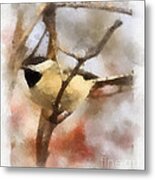 Chickadee Watercolor Metal Print