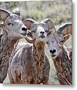 Child's Play Ram Style Metal Print