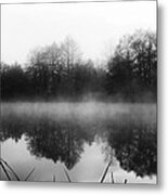 Chilly Morning Reflections Metal Print