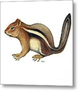 Chipmunk Metal Print