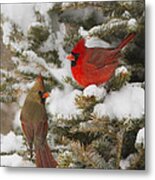 Christmas Card With Cardinals Metal Print