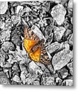 Chrysalis Metal Print