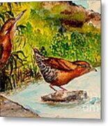 Cinnamon Bittern Metal Print