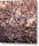 Circles Of Life 2 Metal Print