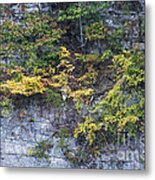 Cliff Hanging Metal Print