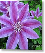 Climbing Grace Metal Print