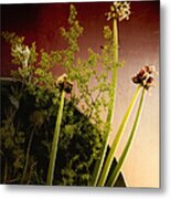 Clipped Stems Metal Print