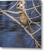 Close To The Water Metal Print