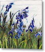 Close Up Of Bluebells And Plantain Metal Print