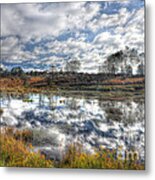 Cloud Reflections In Beaver Pond Canaan Valley Metal Print