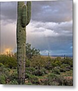 Cloudburst Metal Print