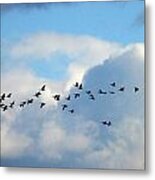 Clouds And Migration Metal Print