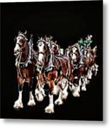 Clydesdales Hitch Metal Print
