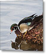 C'mon In The Waters Fine Metal Print