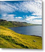 Coast Of Scotland Metal Print