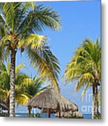 Coconut Palm Forest Metal Print
