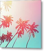 Coconut Trees And Turquoise Indian Ocean Metal Print