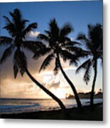 Coconut Trees At Sunrise, Oahu, Hawaii Metal Print